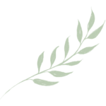 Diseño sin título (17)